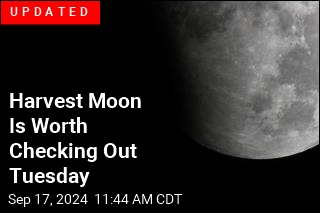 Moon Is Worth Watching This Week