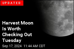 Moon Is Worth Watching This Week