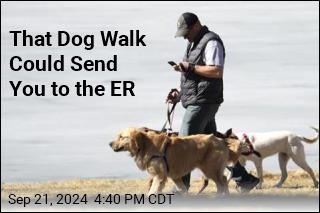 That Dog Walk Could Send You to the ER