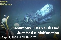 Titan Sub Had Problem Days Before Dive: Testimony