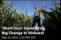 Short Corn Could Become &#39;New Normal&#39; in Midwest