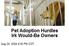Pet Adoption Hurdles Irk Would-Be Owners