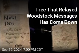 Tree That Relayed Woodstock Messages Has Come Down