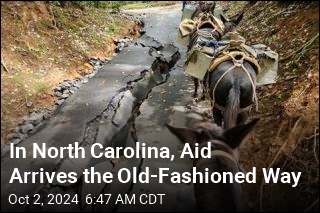 Mules Bringing Life-Saving Aid in NC