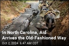 Mules Bringing Life-Saving Aid in NC