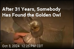 Buried 'Golden Owl' Treasure Found After 31 Years