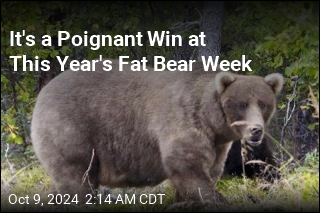 She&#39;s the First &#39;Working Mom&#39; to Win Fat Bear Week