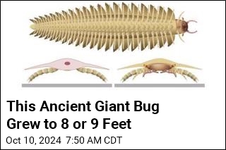 Huge Ancient Bug Had Body of a Millipede, Head of Centipede