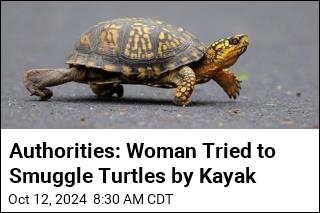 Authorities: Woman Tried to Smuggle Turtles by Kayak