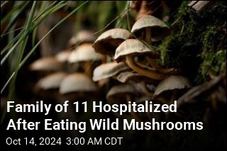 Family of 11 Hospitalized After Eating Wild Mushrooms