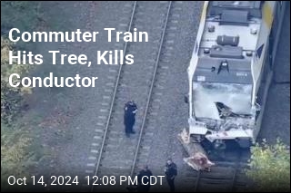 NJ Train Hits Tree, Kills Conductor