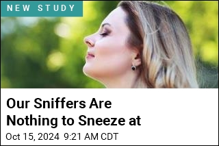 Scientists &#39;Astonished&#39; by How Quickly We Distinguish Smells