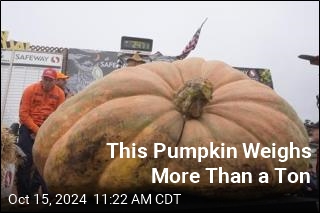 Oh My Gourd! This Pumpkin Weighs in at Nearly 2.5K Pounds