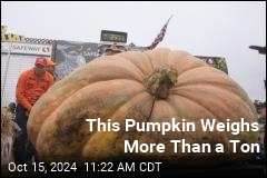 Oh My Gourd! This Pumpkin Weighs in at Nearly 2.5K Pounds