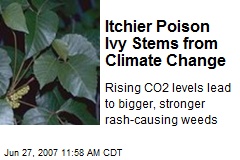 Itchier Poison Ivy Stems from Climate Change