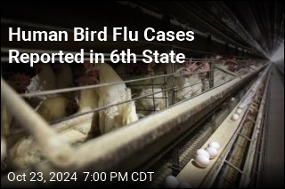 Human Bird Flu Cases Reported in 6th State