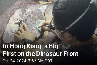 In Hong Kong, a Big First on the Dinosaur Front