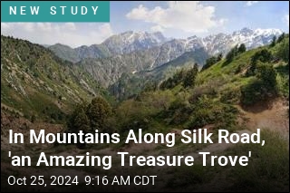 In Mountains Along Silk Road, &#39;an Amazing Treasure Trove&#39;