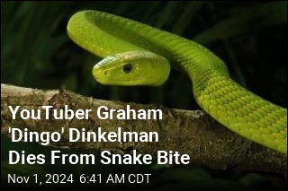 YouTuber Graham 'Dingo' Dinkelman Dies From Snake Bite