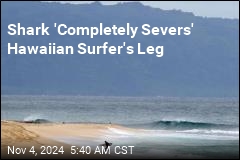 Shark Bites Off Hawaiian Surfer's Leg