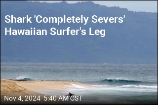 Shark Bites Off Hawaiian Surfer&#39;s Leg