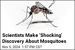 Scientists Call Their Mosquito Discovery 'Shocking'