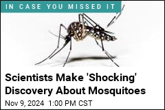 Scientists Call Their Mosquito Discovery 'Shocking'