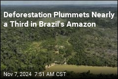 Deforestation Plummets Nearly a Third in Brazil&#39;s Amazon