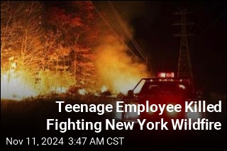 Parks Employee, 18, Killed Fighting New York Wildfire