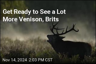 UK&#39;s Answer to Too Many Deer? A Venison Push