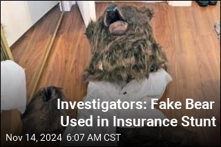 Investigators: Fake Bear Used in Insurance Stunt