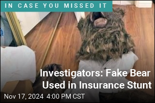 Investigators: Fake Bear Used in Insurance Stunt