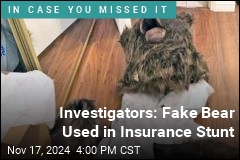 Investigators: Fake Bear Used in Insurance Stunt