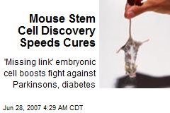 Mouse Stem Cell Discovery Speeds Cures