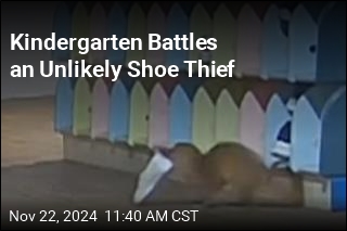 Kindergarten Battles an Unlikely Shoe Thief