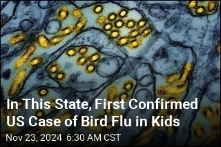 In This State, First Confirmed US Case of Bird Flu in Kids