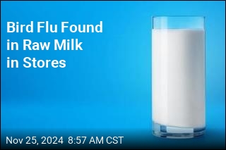 Bird Flu Found in Batch of Raw Milk