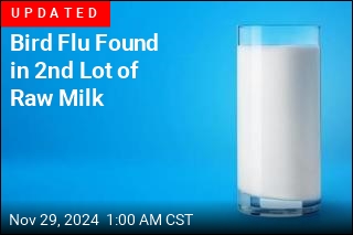 Bird Flu Found in Batch of Raw Milk