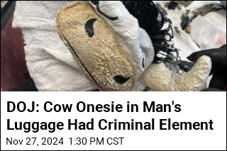 DOJ: Cow Onesie in Man&#39;s Luggage Had Criminal Element