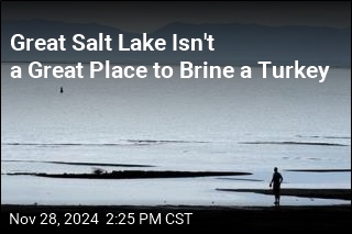 Great Salt Lake Isn&#39;t a Great Place to Brine a Turkey