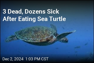 3 Dead, Dozens Sick After Eating Sea Turtle