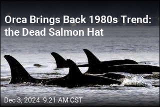 Orca Brings Back 1980s Trend: the Dead Salmon Hat