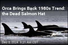 Orca Brings Back 1980s Trend: the Dead Salmon Hat