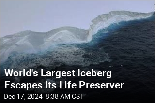 World&#39;s Largest Iceberg Escapes Its Life Preserver