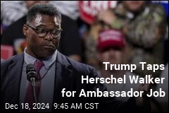 Trump Taps Herschel Walker for Ambassador Job