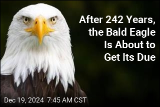 Finally, Something Congress Can Agree On&mdash;the Bald Eagle