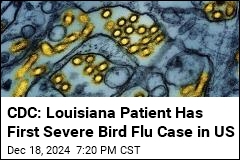 CDC: Louisiana Patient Has First Severe Bird Flu Case in US