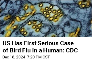 CDC: Louisiana Patient Has First Severe Bird Flu Case in US