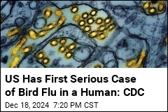 CDC: Louisiana Patient Has First Severe Bird Flu Case in US