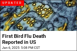 CDC: Louisiana Patient Has First Severe Bird Flu Case in US